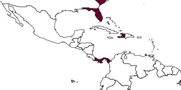 map of Epyris spissus     Evans, 1969